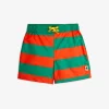 Stripe Swim Shorts